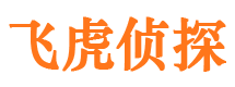 闵行外遇调查取证